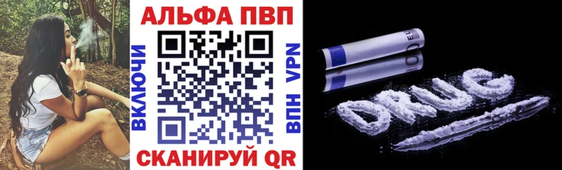 Alfa_PVP СК Цоци-Юрт