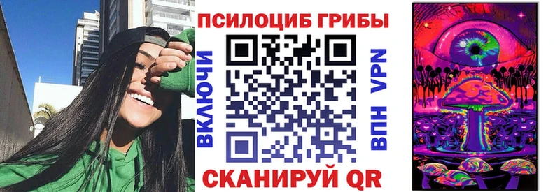 Псилоцибиновые грибы мицелий  наркотики  Цоци-Юрт 