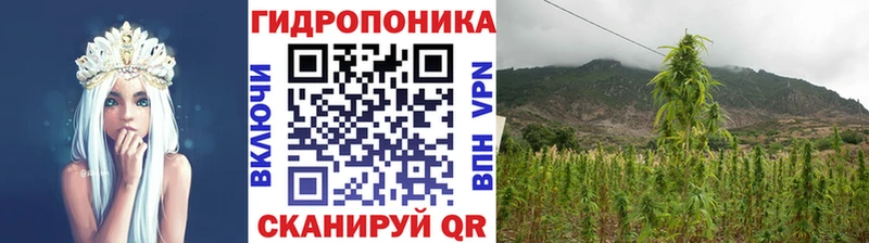 darknet какой сайт  Цоци-Юрт  Бошки марихуана тримм 